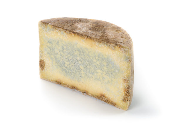 photographe culinaire pour les fromages des Caves d'Affinage de Savoie, Rognaix : bleu de Termignon
