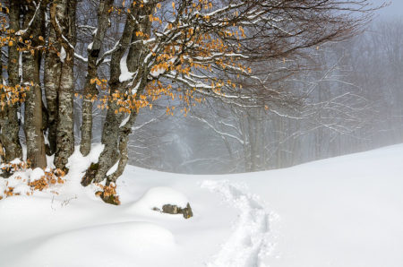 Photographe Patrimoine Et Traditions Dans Les Alpes : Paysage Enneigé