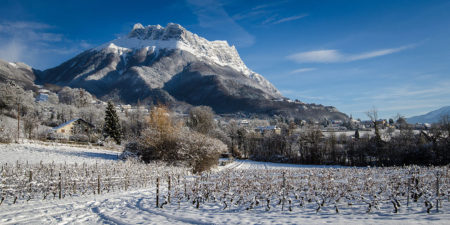 Photographe en décoration de bureaux dans les Alpes : la dent d'Arclusaz enneigée domine le vignoble de Savoie