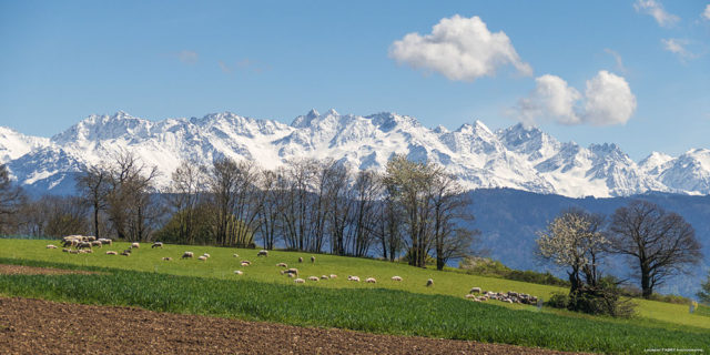 Photographe en décoration de bureaux dans les Alpes : le massif de Belledonne depuis Challes-les-Eaux
