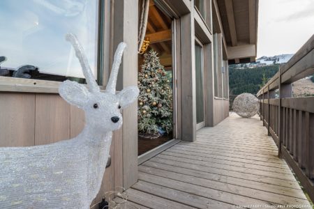 Photographe professionnel chalet : vue depuis les balcons