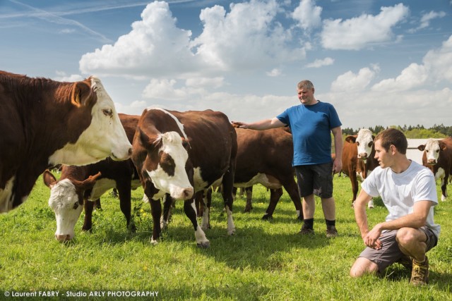 Fabrice Pasquier et Maxime Chavannes au milieu de leur troupeau de vaches de race Abondance, dans leur GAEC créée en 2013 à Peillonnex (Haute Savoie, 74)