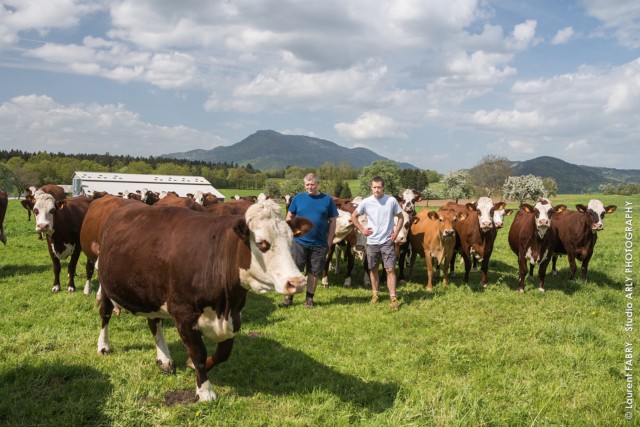 Fabrice Pasquier et Maxime Chavannes au milieu de leur troupeau de vaches de race Abondance et devant leur bâtiment de 1500 mètres carré, dans leur GAEC créée en 2013 à Peillonnex (Haute Savoie, 74)