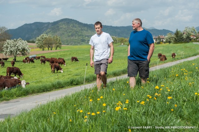 Fabrice Pasquier et Maxime Chavannes au milieu de leur troupeau de vaches de race Abondance, dans leur GAEC créée en 2013 à Peillonnex (Haute Savoie, 74)