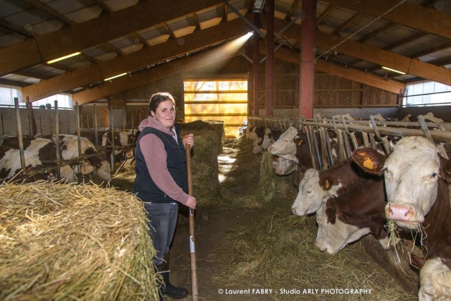 Grand Abergement (01) : Victoire Vuaillat s'occupe des génisses, élevées à l'attache et nourries au foin, GAEC Vuaillat