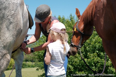 Une Petite Fille Et Sa Maman S'occupent De Leurs Chevaux