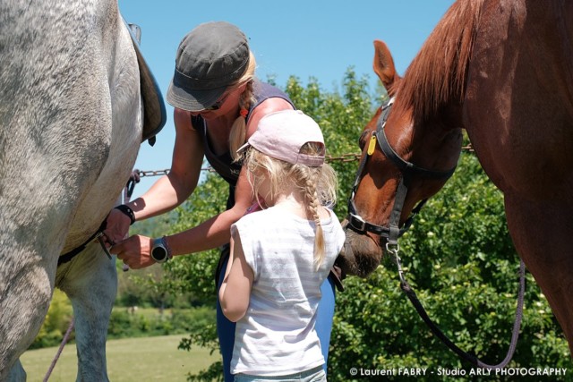 Une petite fille et sa maman s'occupent de leurs chevaux