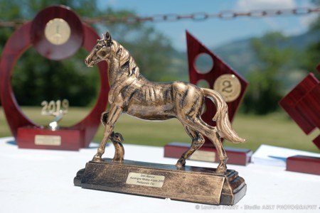 Le Trophé Pour Les Cavaliers Du Raid Multi-sports Haute Savoie