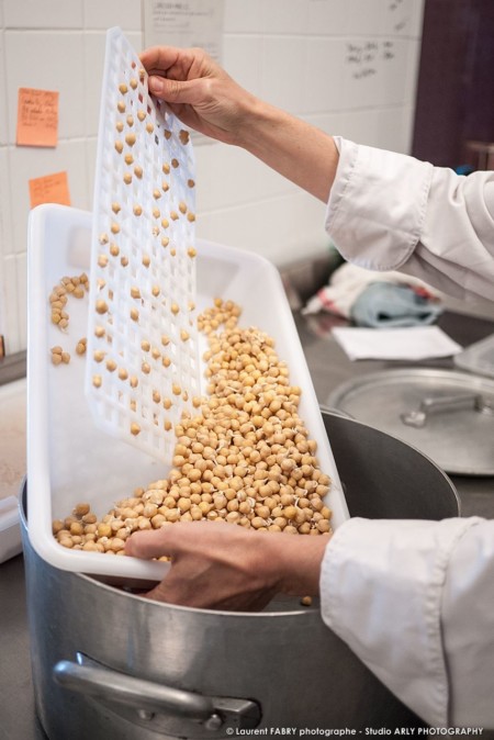 Pois chiche germé, traiteur bio