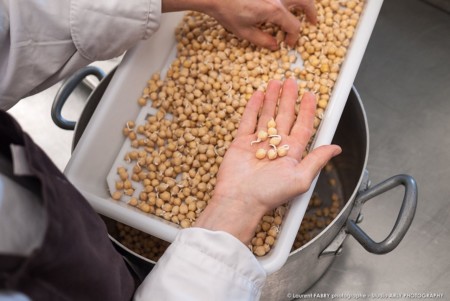 Pois chiche germé, traiteur bio