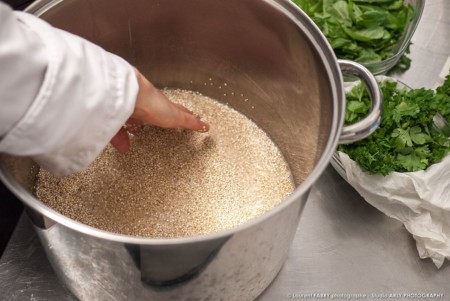 rinçage des graines de petit épeautre par le traiteur bio