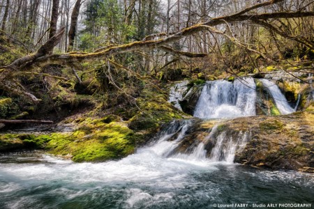 Une Cascade Non Loin De La Cascade Du Pissieux, Dans Le Massif Des Bauges