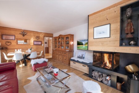 Grand salon salle à manger et sa cheminée