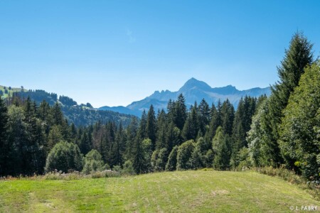 Chalet de luxe dans le Val d'Arly : panorama époustouflant sur le Mont Charvin et les forêts du Val d'Arly