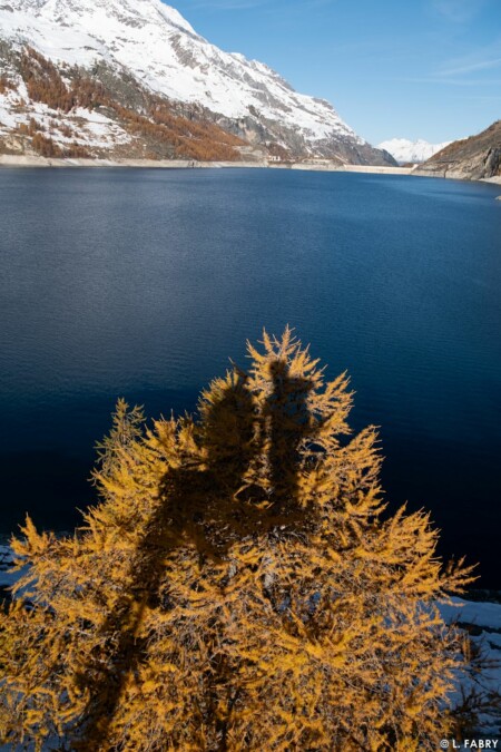 Chantier de montagne : passerelle himalayenne au-dessus du lac du Chevril, Tignes (73)